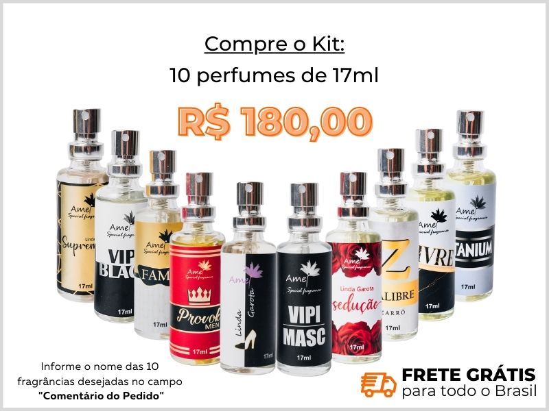 Kit com 10 perfumes de 17ml + Frete Grtis + site + loja virtual Amei Cosmticos